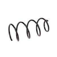 Rear suspension spring