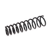 Coil spring in front