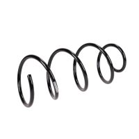 Coil spring in front