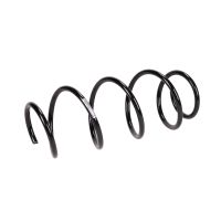 Coil spring in front