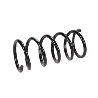 Coil spring in front