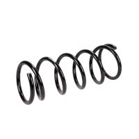 Coil spring front 18Q