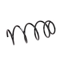 Coil spring in front