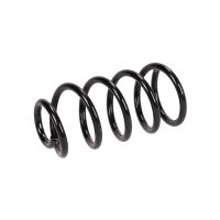 Rear suspension spring