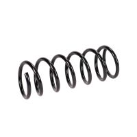 Rear suspension spring