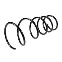 Coil spring in front