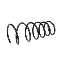Coil spring in front