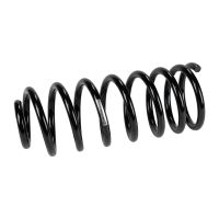 Rear suspension spring