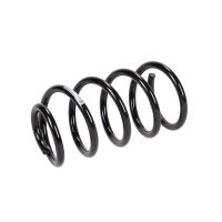 Rear suspension spring