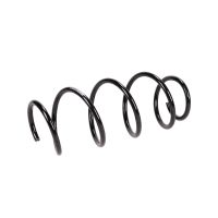 Coil spring in front