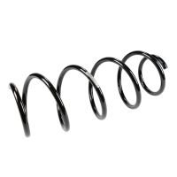 Coil spring in front