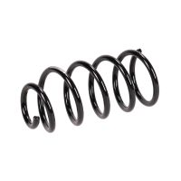 Rear suspension spring