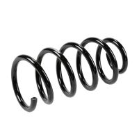 Rear suspension spring