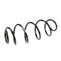 Coil spring in front