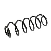 Rear suspension spring