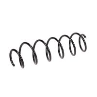 Coil spring in front