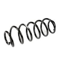 Rear suspension spring