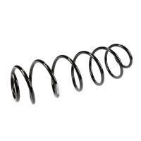 Coil spring in front