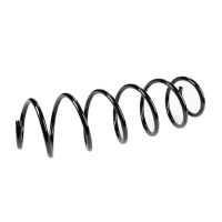 Coil spring in front