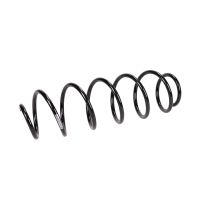 Coil spring in front