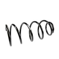 Coil spring in front