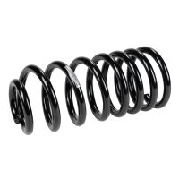 Spring coil spring rear