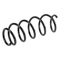 Coil spring in front