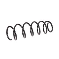 Coil spring in front