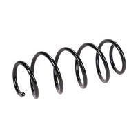 Coil spring in front