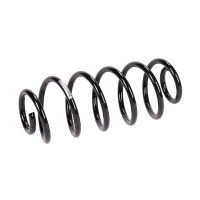 Rear suspension spring