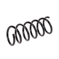 Rear suspension spring