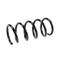 Rear suspension spring