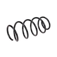 Coil spring in front