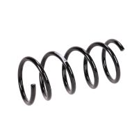 Rear suspension spring