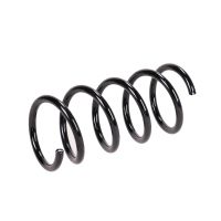 Rear suspension spring