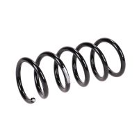 Rear suspension spring