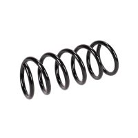 Rear suspension spring