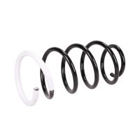 Coil spring in front