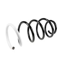 Coil spring in front