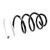 Coil spring in front