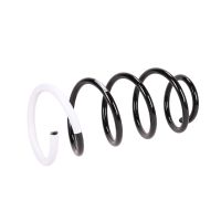 Coil spring in front