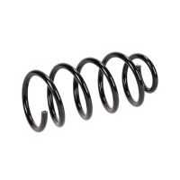 Rear suspension spring