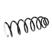 Chassis springs rear