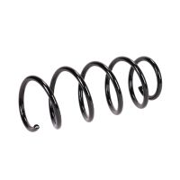 Coil spring in front