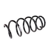 Chassis springs front