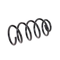 Rear suspension spring