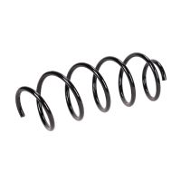 Coil spring in front