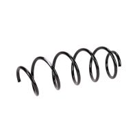 Coil spring in front