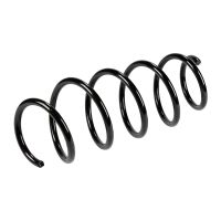 Coil spring in front