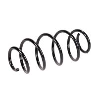 Coil spring in front